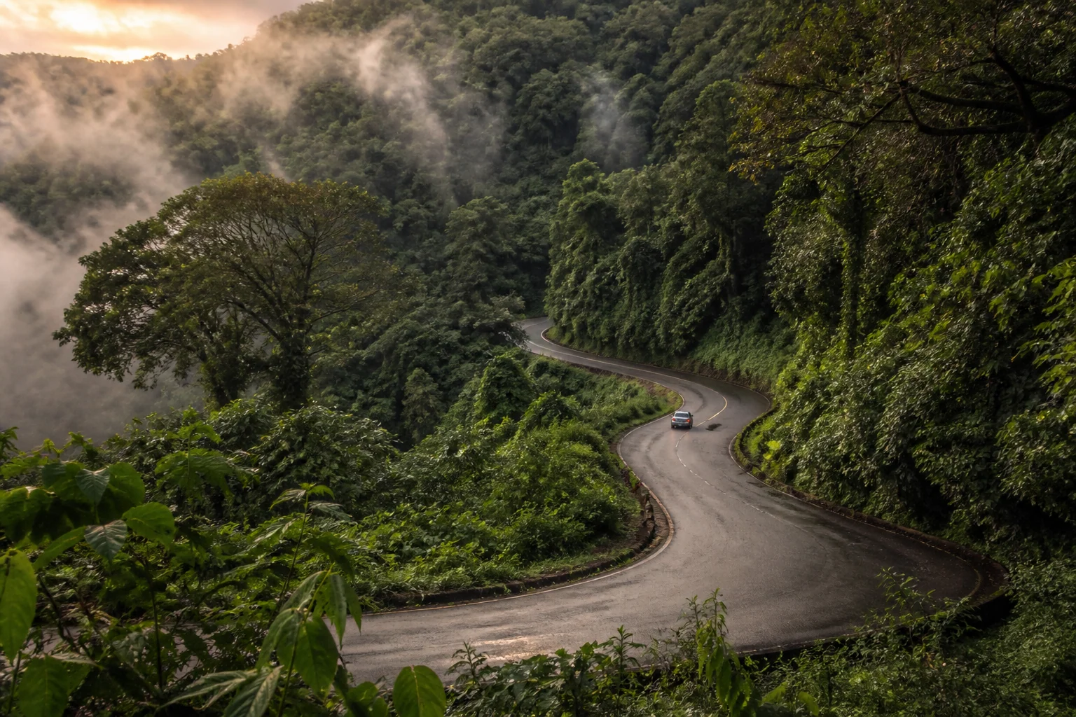 A small car taking a wet winding road through dense Western Ghats forest